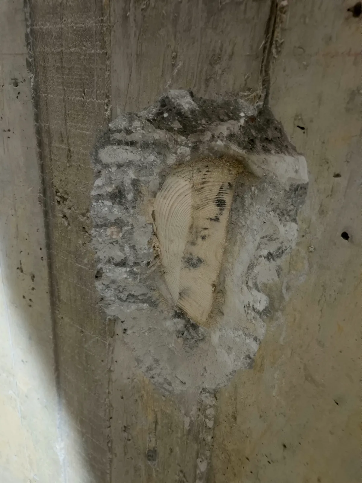Zeta Mimarlık Bodrum Kat Kuyu Temel Su Yalıtımı
